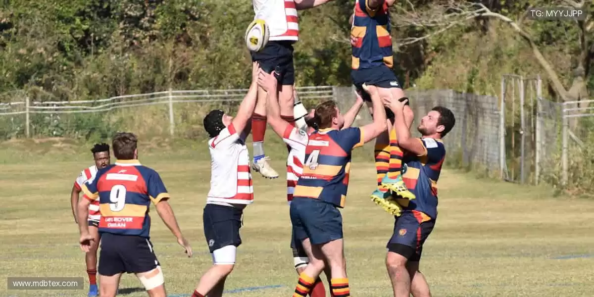 ✨ 一键订阅,精彩不断!最新赛事资讯,第一时间送达!